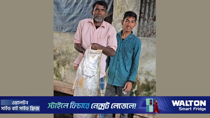 বরগুনায় জেলের জালে সাড়ে ২২ কেজির কোরাল