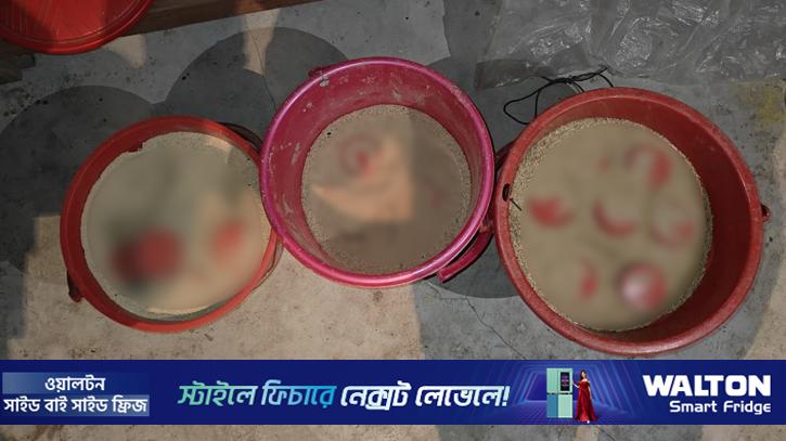 মুন্সীগঞ্জে মুদি দোকান থেকে ৩ বালতি তাজা ককটেল উদ্ধার