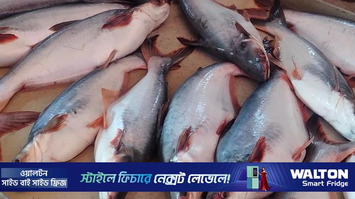 রোজা শুরুর আগেই পটুয়াখালীর বাজারে আগুন