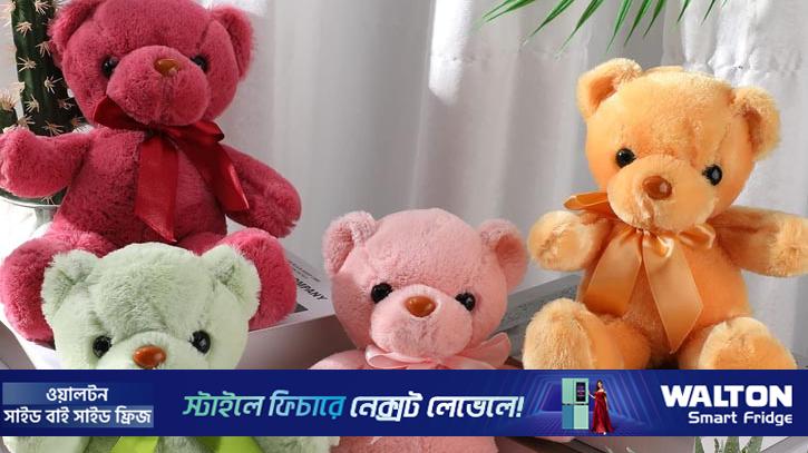 আজ টেডি ডে: কোন রঙের টেডির কী অর্থ জানেন?