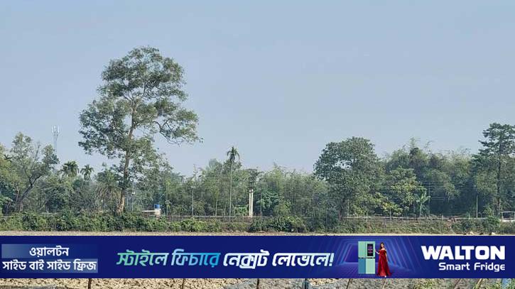 সীমান্তে বিএসএফের সড়ক নির্মাণের চেষ্টা, বিজিবির বাধায় পতাকা বৈঠক 