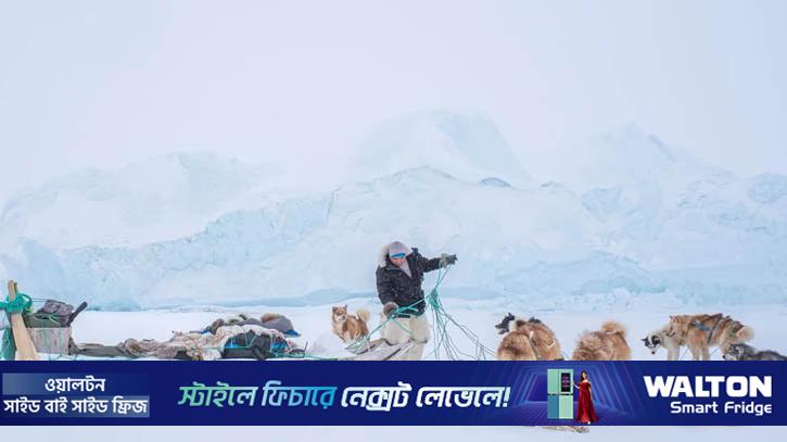 কুকুর আর মানুষের বন্ধুত্বের গল্প ক্যামেরাবন্দী করেন জন ফ্যাবিয়ানো