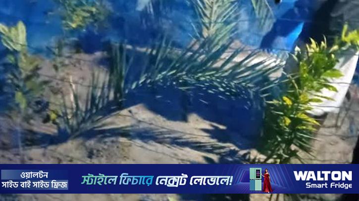 সাদ্দামের স্ত্রী-সন্তানকে পাশাপাশি দাফন 