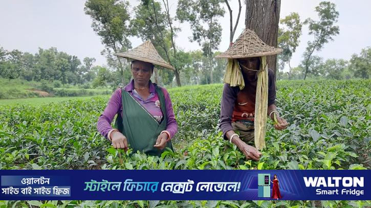 ‘ভোটে আমাদের নয়, নির্বাচিতদের জীবনে পরিবর্তন আসে’