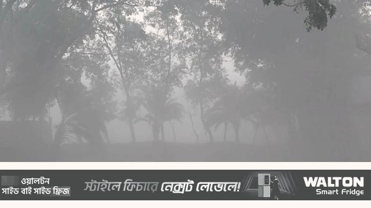 পটুয়াখালীতে গুঁড়ি গুঁড়ি বৃষ্টির মতো ঝরছে কুয়াশা