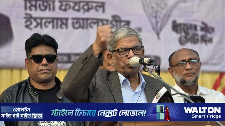 আগে আওয়ামী লীগ, এখন অদৃশ্য শক্তির সঙ্গে লড়াই: মির্জা ফখরুল