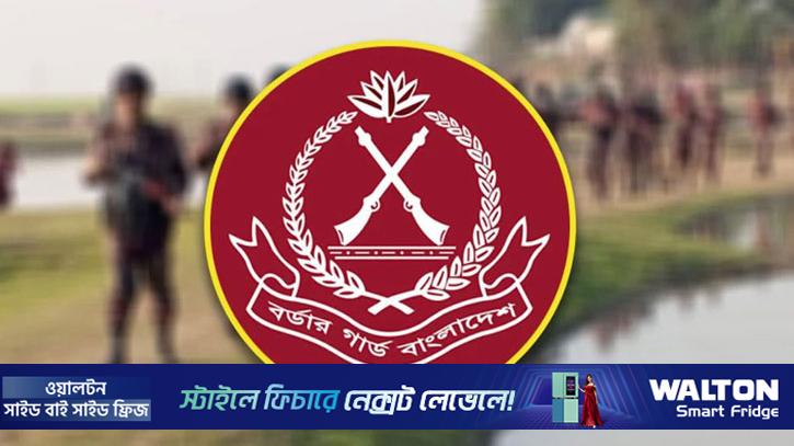 নির্বাচনে মাঠে থাকবে ৩৭ হাজারের বেশি বিজিবি 