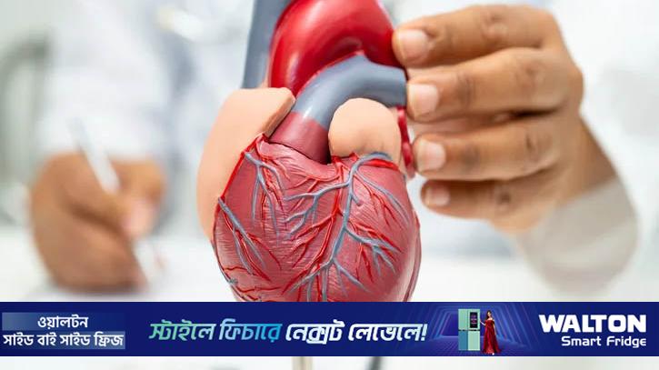 হৃদ্‌যন্ত্রের জন্য সবচেয়ে বিপজ্জনক ৪ অভ্যাস সম্পর্কে জেনে নিন
