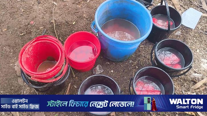 শরিয়তপুরে যৌথবাহিনীর অভিযানে ককটেল ও দেশীয় অস্ত্র উদ্ধার