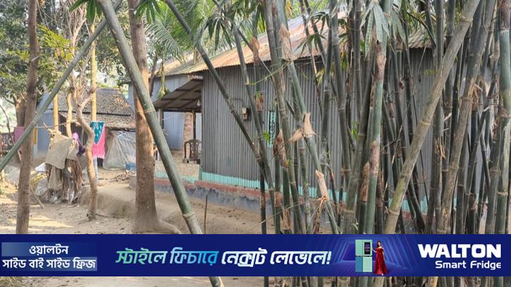 স্বামীকে গাছে বেঁধে স্ত্রীকে ধর্ষণের খবর, আসলে কী ঘটেছিল সেখানে