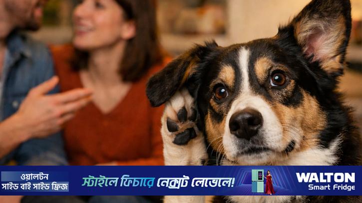 কুকুর আড়ি পেতে নতুন শব্দ শিখতে পারে