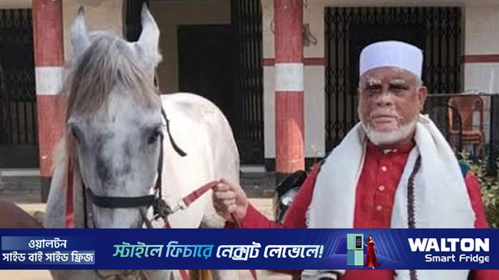 জীবন্ত ঘোড়া নিয়ে নির্বাচনি প্রচারের অভিযোগ প্রার্থীর বিরুদ্ধে