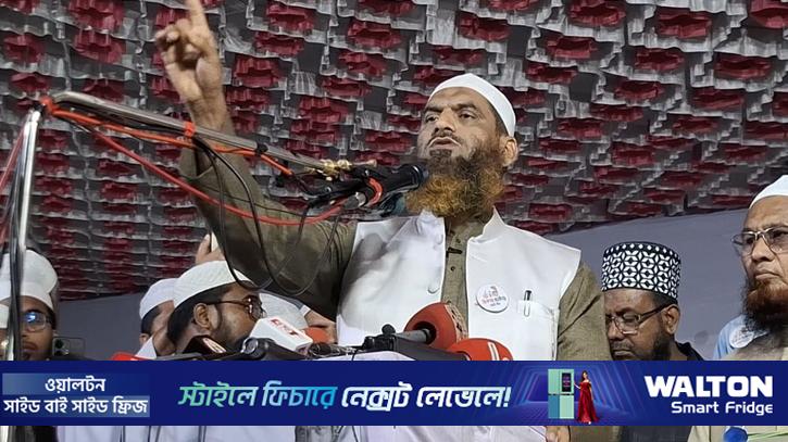 ২৬ হবে ভোট ও ভাতের অধিকার ফিরিয়ে দেওয়ার নির্বাচন: মামুনুল হক