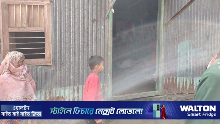 সিরাজগঞ্জে শিয়ালের কামড়ে বৃদ্ধার মৃত্যু