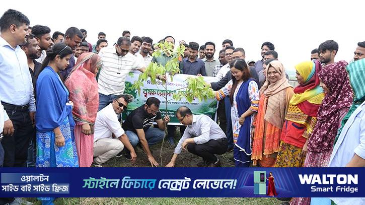 পরিবেশ দিবস উপলক্ষে ওয়ালটনের র‌্যালি ও বৃক্ষরোপণ কর্মসূচি