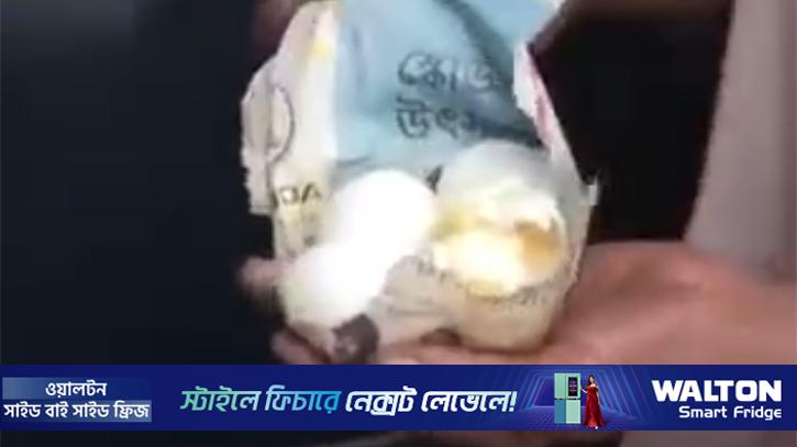 কলকাতায় পচা ডিমের দাম ভালো ডিমের চেয়ে তিন গুণ বেশি
