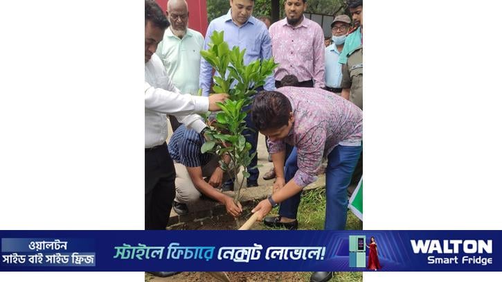 ‘আমি গেরামের ছেলে, কোদাল দেন’ গাছ লাগিয়ে বার্তা দিলেন ডিসি
