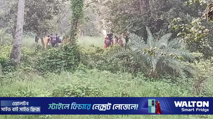 চাঁপাইনবাবগঞ্জ সীমান্তে ২৮ জনকে ঠেলে পাঠানোর চেষ্টা