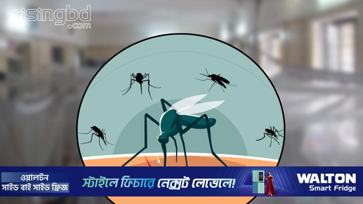 ঢাকাসহ ৪ জেলা ডেঙ্গুর উচ্চঝুঁকিতে, সচেতনতা র‍্যালি শনিবার