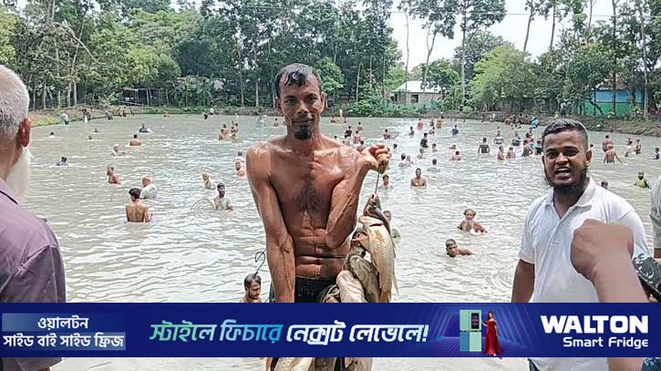 কুমিল্লায় পলো দিয়ে মাছ ধরা উৎসব