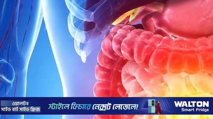 অন্ত্রের স্বাস্থ্য নিয়ে গুরুত্বপূর্ণ তথ্য