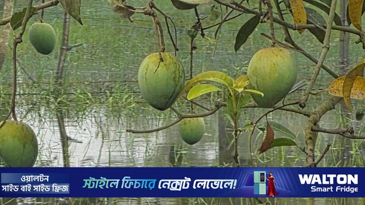১৬ জুন বাজারে আসছে হাঁড়িভাঙ্গা, ২০০ কোটি টাকা বাণিজ্যের আশা