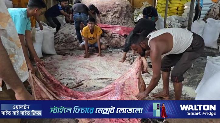 সাভার ট্যানারিতে ৭ দিনে ঢুকেছে ৬ লাখ ৪০ হাজার চামড়া