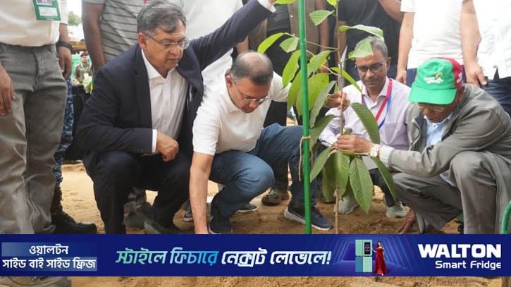 চকরিয়ায় ২৫ কোটি বৃক্ষরোপণ কর্মসূচির উদ্বোধন করলেন প্রধানমন্ত্রী