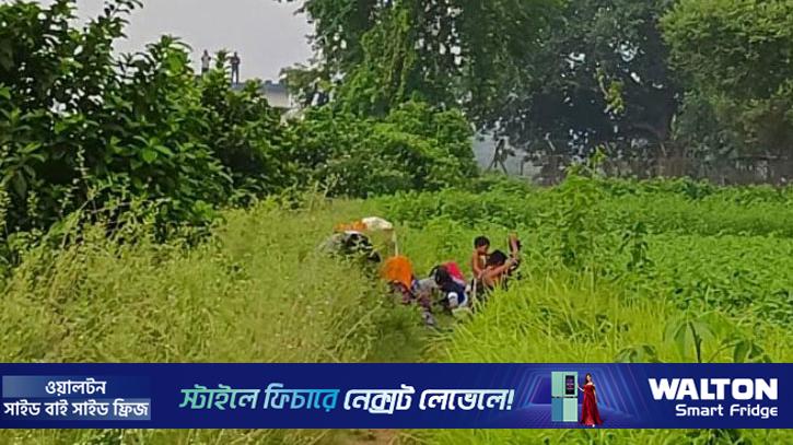 কুষ্টিয়া সীমান্তে ১২ জনকে পুশ-ইনের চেষ্টা, বিজিবির বাধা 