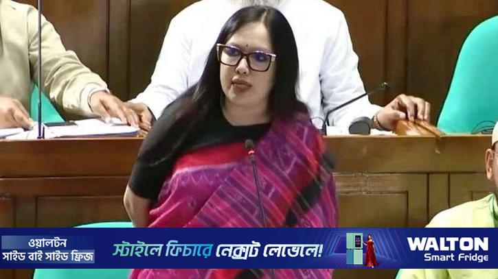 মফিজের সুইমিংপুলের স্বপ্নের মতোই অবাস্তব বাজেট: রুমিন ফারহানা