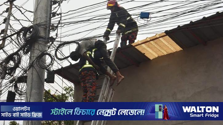 পাখির ছানা ধরতে বিদ্যুতের খুঁটিতে উঠে প্রাণ হারাল কিশোর