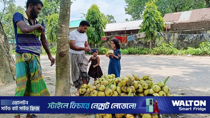 দাবদাহে বেড়েছে তালের শাঁসের চাহিদা