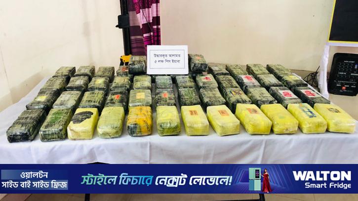 টেকনাফ সীমান্তে ১৫ কোটি টাকার ইয়াবাসহ দুই রোহিঙ্গা আটক