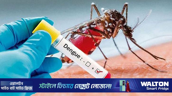 ২৪ ঘণ্টায় ডেঙ্গুতে আক্রান্ত ৬৫