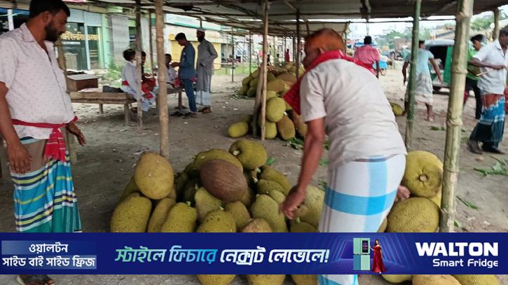 জৈনা বাজারে জমে উঠেছে কাঁঠাল বেচাকেনা