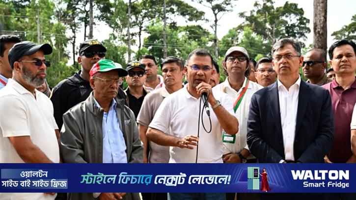 আসুন আমাদের সন্তানদের বুক ভরে শ্বাস নিতে একটি করে গাছ লাগাই: প্রধানমন্ত্রী