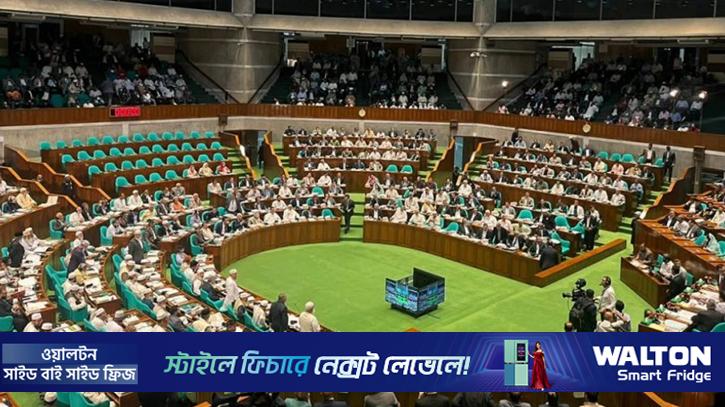 ‘সংসদের চেয়ারে প্রত্যেক এমপির হাত কেটে যাচ্ছে’