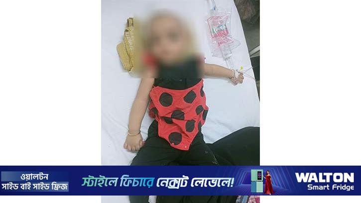 ঈদে বাড়ি ফেরার পথে দুর্ঘটনায় আহত শিশুর চিকিৎসার দায়িত্ব নিলেন প্রধানমন্ত্রী