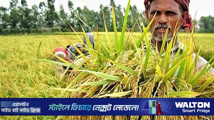 ৬ মাসে কৃষিঋণ বিতরণ ২১ হাজার কোটি টাকা 