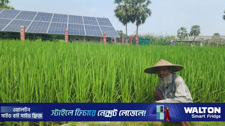 নড়াইলে সূর্যের আলোয় চলছে সেচ পাম্প