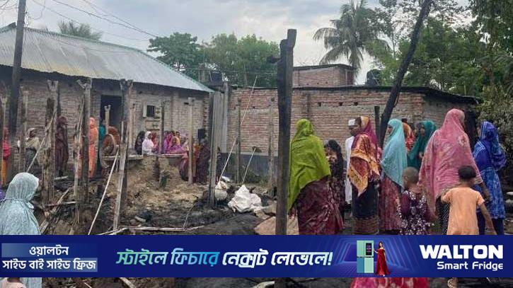 মশার কয়েলের আগুনে পুড়েছে গবাদিপশু-ঘর, দগ্ধ ২