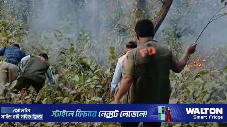বার বার আগুনে পুড়ছে ভাওয়াল বন, হুমকিতে জীববৈচিত্র্য