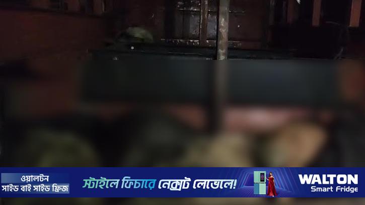 যাত্রীবাহী বাসের লাগেজ বক্সে ৫৫ ছাগলের মৃত্যু 