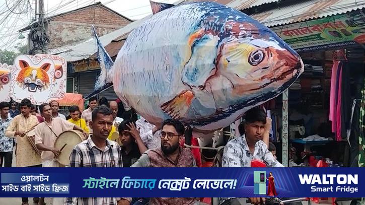 কলাপাড়ায় ১৪ ফুটের ইলিশ নিয়ে বর্ণাঢ্য শোভাযাত্রা