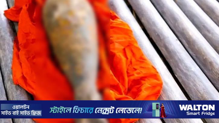 বুড়িমারী সীমান্তে মর্টার শেল সদৃশ বস্তু উদ্ধার