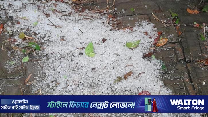 নাটোরে শিলাবৃষ্টি, ফসল ক্ষতির শঙ্কা