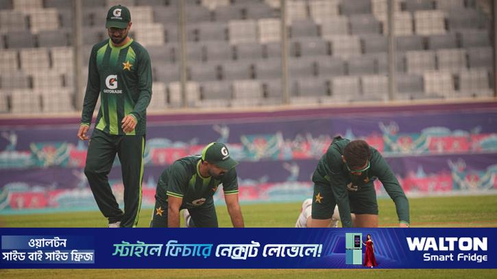 বছর ঘুরতেই মিরপুরের উইকেটকে প্রশংসায় ভাসালেন পাকিস্তানের কোচ