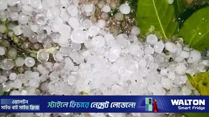 কিশোরগঞ্জের হাওরাঞ্চলে শিলাবৃষ্টি, বোরো ধানের ক্ষতির আশঙ্কা