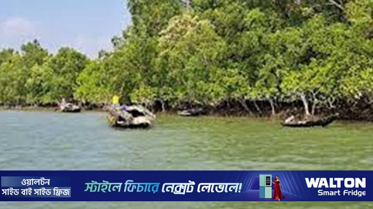 সুন্দরবনে অপহৃত ৬ জেলে মুক্তিপণে মুক্ত