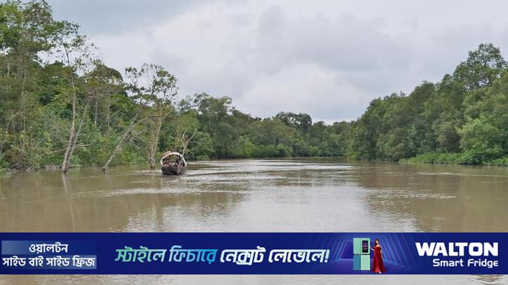 আতঙ্কে সুন্দরবনে যাচ্ছেন না মৌয়ালরা
